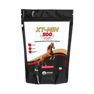 XTMIN 500 con Levadura de Cerveza